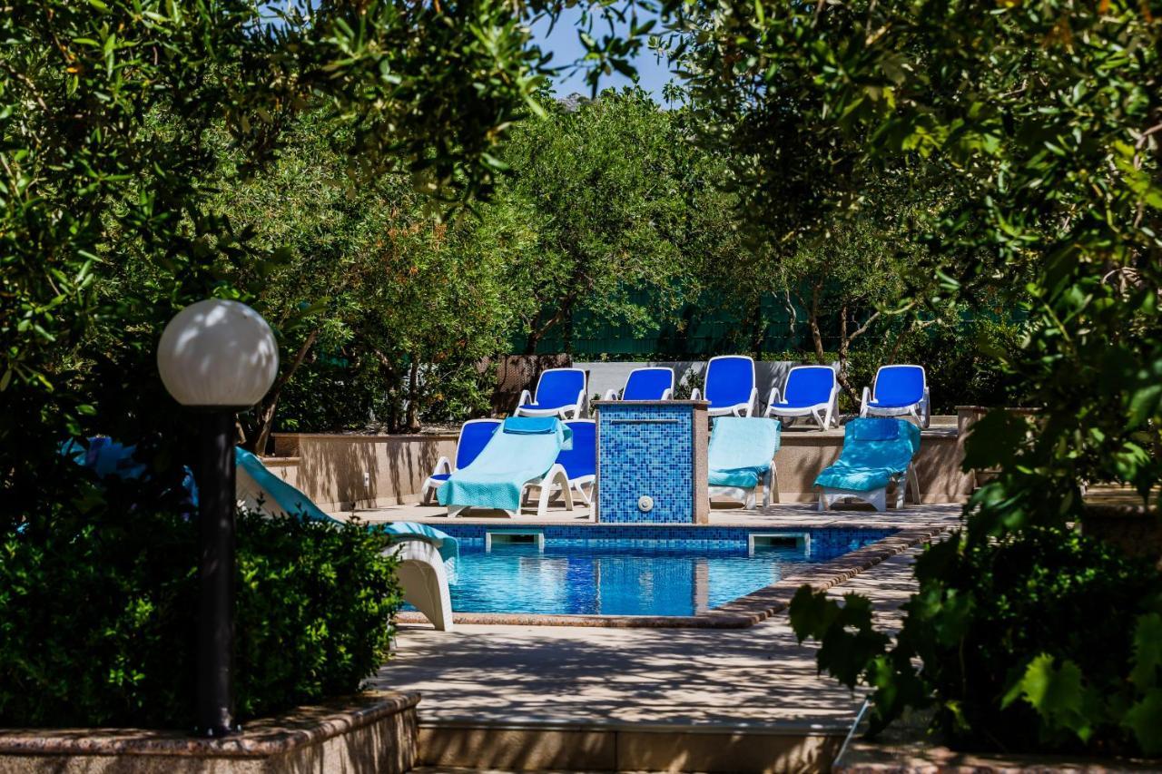 Rustica Dalmatia