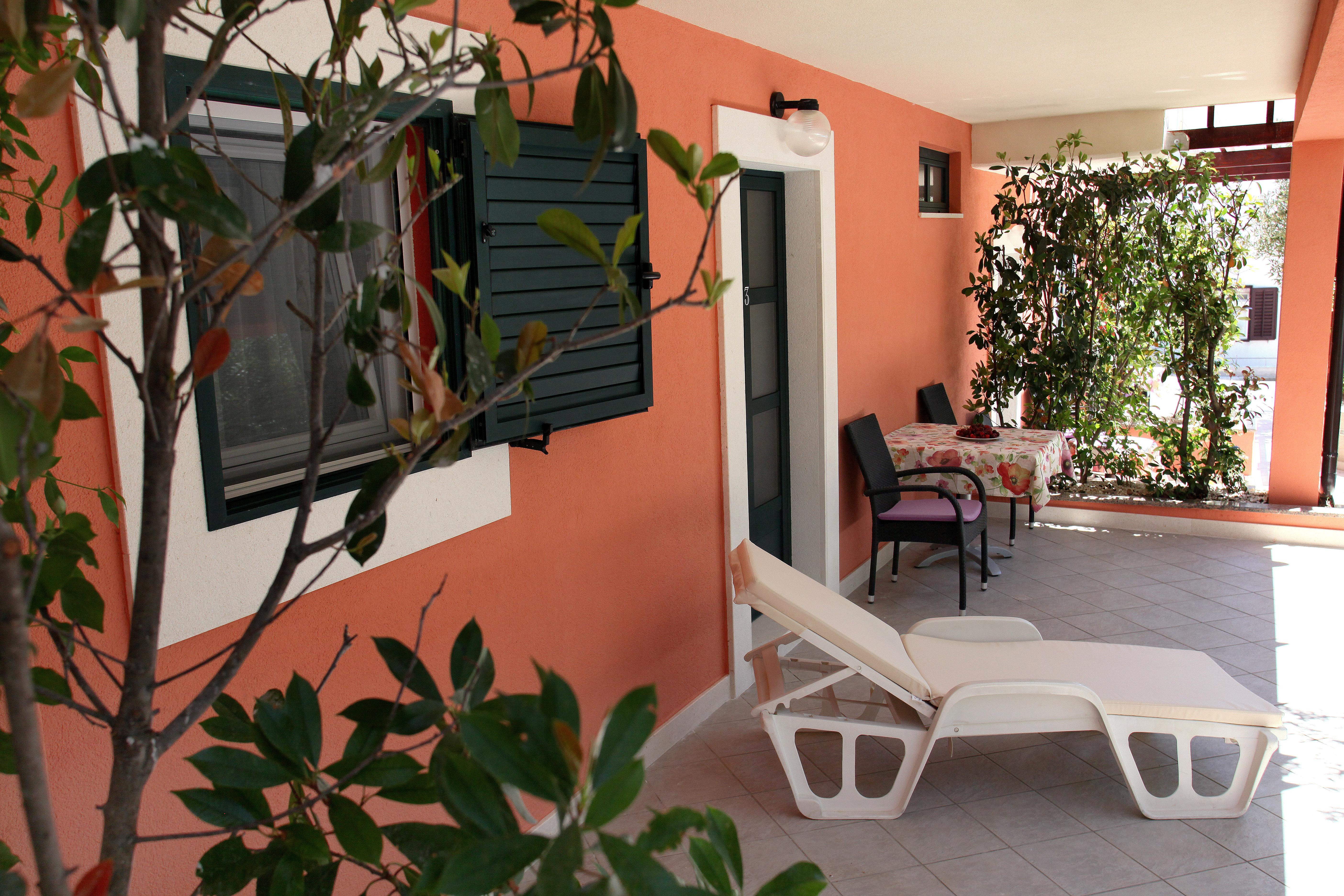 Rustica Dalmatia *
