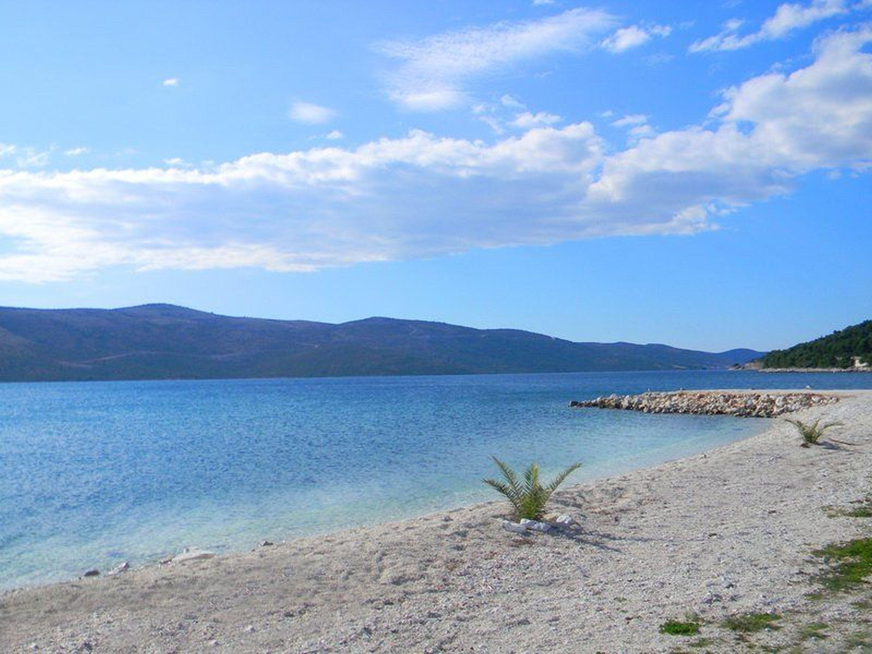 Rustica Dalmatia
